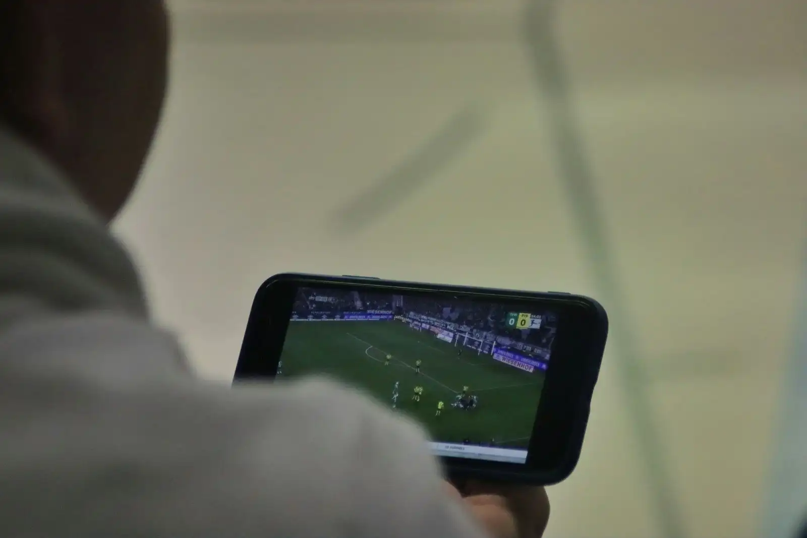 IceBet on mobile: app and access